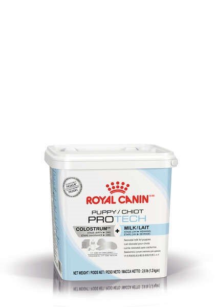 royal canin protech colostrum